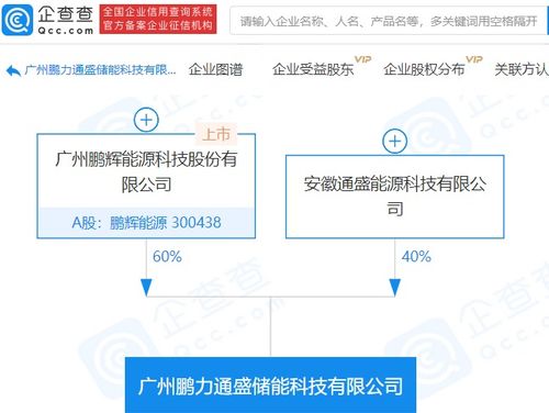 鵬輝能源參股成立儲(chǔ)能科技新公司，注冊(cè)資本達(dá)1億元，拓展信息系統(tǒng)集成服務(wù)